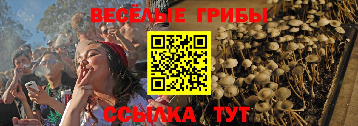 Галлюциногенные грибы ЛСД  Вход с VPN  Мценск  Псилоцибиновые грибы прущие грибы 